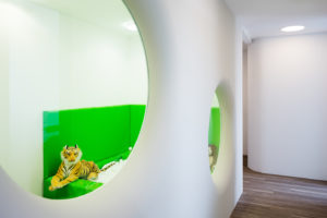 Interiorfotografie und Architekturfotografie einer Zahnarztpraxis in Köln